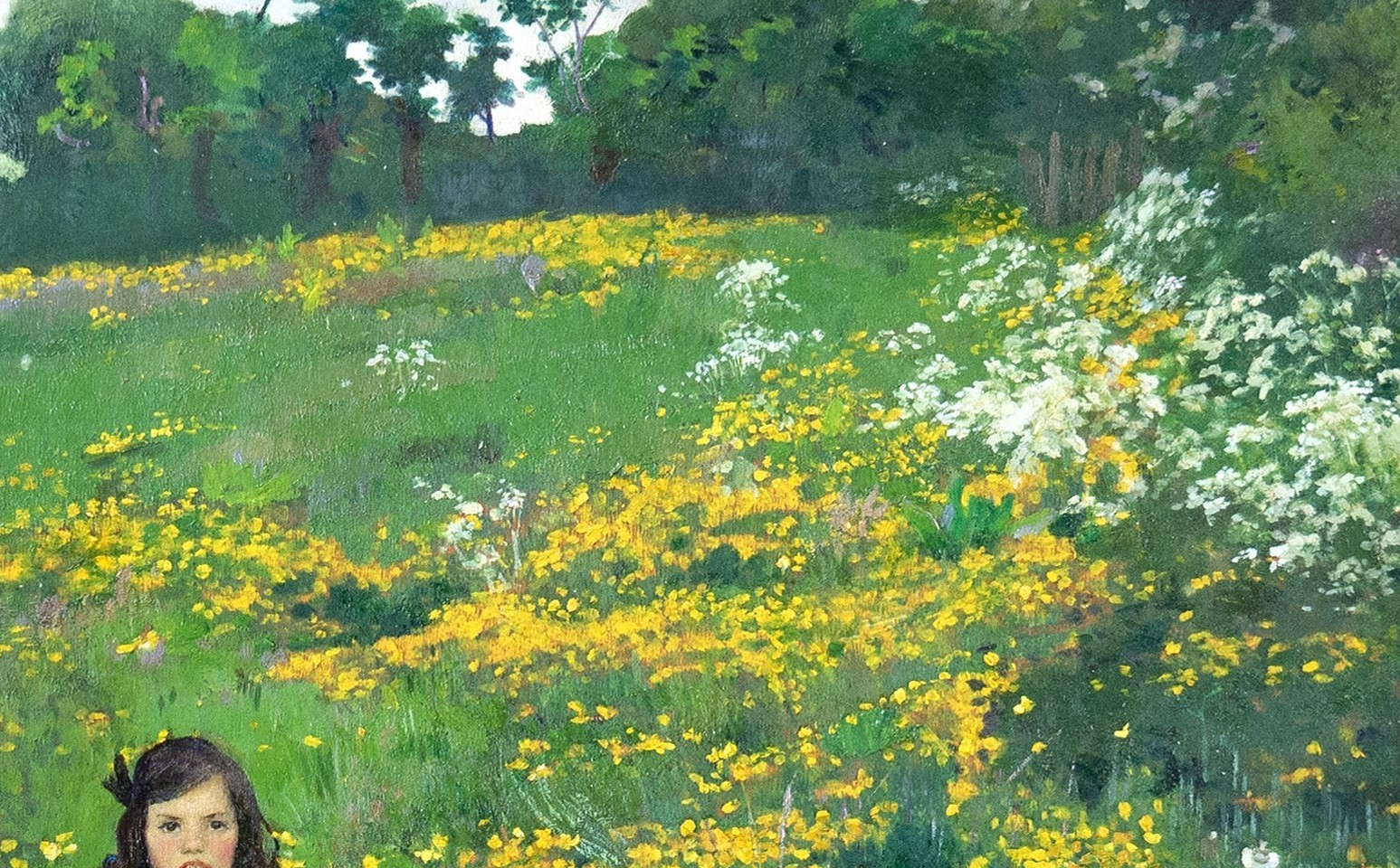 detail in the meadow